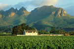 Winelands